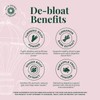 Debloat Support Capsules by AiRi – Vital Source Nutrition Supplement