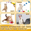 Eerrhhaq Eerrhhaq Cat Toy Balls with Launchers Set,2 Cat Toy