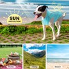 PETCARE Dog Shirt Sun Protection Quick Dry Reflective Soft Stretchy