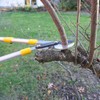 Centurion 76 Heavy Duty Bypass Lopper 1¾-inch Cut Capacity with