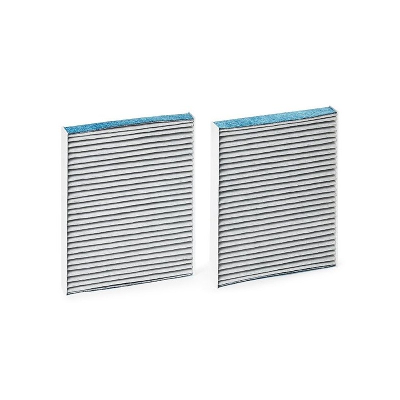 RIDEX Plus Cabin Air Filter Activated Carbon with Anti-Allergic Effect