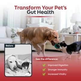 Probiotics for Cats & Dogs - 6 Billion CFU Prebiotic & Probiotic Powder - 8 Strains Pet Digestive Support - Gut Health Supplement with Flaxseed & Pumpkin - 30 Day Supply with Scoop