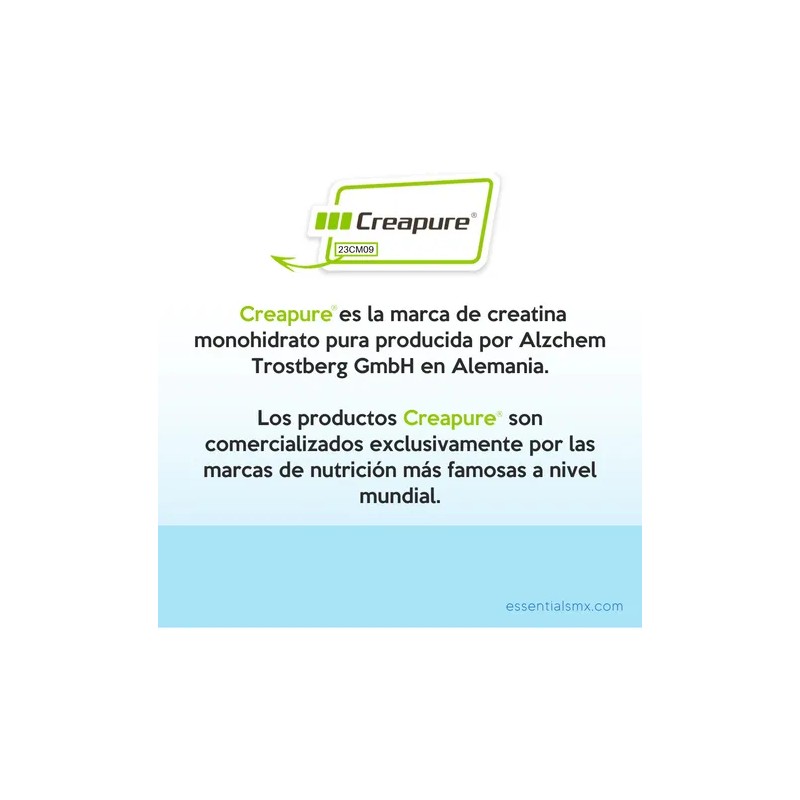 Essentials Creatina Sello Creapure 500 Gr 100 Porciones Sabor Sin
