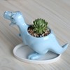 Eabdice Dinosaur Flower Pot, Dinosaur Succulent Pot, Dinosaur Ceramic Flower