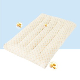 YOUR MOON Flat Thin Pillows Queen Size for Sleeping, 2.7 Inch Ultra Thin Soft Pillow for Stomach Sleeper, Soft Down Alternative Pillows for Adults, Comfort Slim Pillow(Beige)