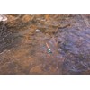 Kikkerland Huckleberry Fishing Rod (HB03)