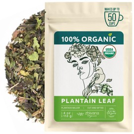 Plantain Leaf Organic (4 oz.) – Broadleaf Plantain Tea Loose Leaf (Plantago Major) – Llanten Planta Medicinal - Herbal Tea for Digestion, Respiratory Health & Detox