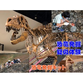 Dinosaur Excavation Skeleton Fossil Excavation Toy Fossil Excavation Kit Dinosaur Fossil Excavation (Triceratops)