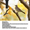 DIY Hummingbird Feeder Hanging Bottle Recycling Flower Hummingbirds Feeding Kit