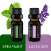 Pure Daily Care Aromatherapy Top 10 Essential Oil Set –