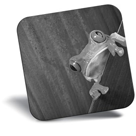 Destination Vinyl ltd Fridge Magnet bw - Frog Nature Frogs #39477