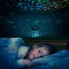 Northwest Color Constellations Star Projector Lamp
