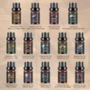 Hotel Diffuser Oils Set - 14Pcs Luxury Fragrance Oil Blend