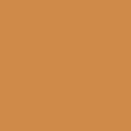Rust-Oleum Corporation 267118 Painter's Touch 2X Ultra Cover, 12 Oz, Satin Warm Caramel