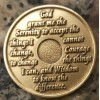 Alcoholics Anonymous 29 Year Recovery Coin Chip Medallion Medal Token