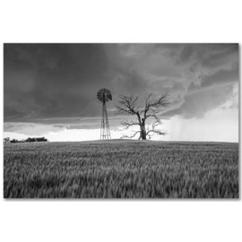 Country Photography Print (Not Framed) Black and White Picture of Windmill and Tree in Wheat Field as Storm Approaches in Oklahoma Farm Wall Art Farmhouse Decor 4x6 to 40x60