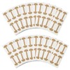 Zolara Pack of 80 Toenail Patch, Toenail Correction Patch, Plaster