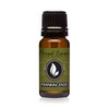 Eternal Essence Oils - Frankincense Premium Grade Fragrance Oil -