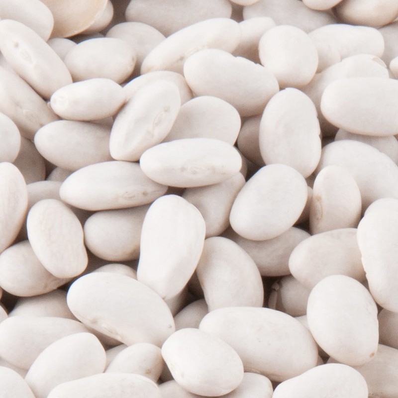 1 Can of Future Essentials Great Northern Beans, Dried, #10