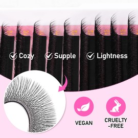 Arison Lashes Double Layers 6DW Shape Eyelash Extension Natural Soft Volume 0.07mm D Curl 8-15mm Mix Premade Fans Faux Mink Matte Black 12 rows