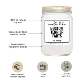 YouNique Designs Smells Like Boston Terrier Farts Soy Candle 8oz - Dog Farts Candle Boston Terrier Gifts for Boston Terrier Lovers - Boston Terrier Gifts for Women, Men (Lavender & Vanilla)