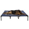Elevated Dog Bed – 48x35.5 Portable Bed for Pets with
