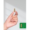 Horbäach Dandelion Root Supplement | 120 Capsules | Non-GMO, Gluten