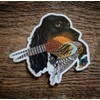 Gordon Setter with Pheasant Sticker Decal