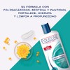 Folicuré Shampoo Limpieza Renovadora Control Caspa 700 ml