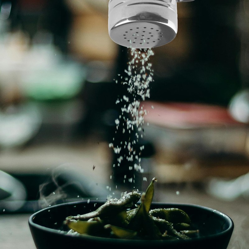 Thyonta Stainless Steel Powder Shaker with Handle and Dustproof Lid