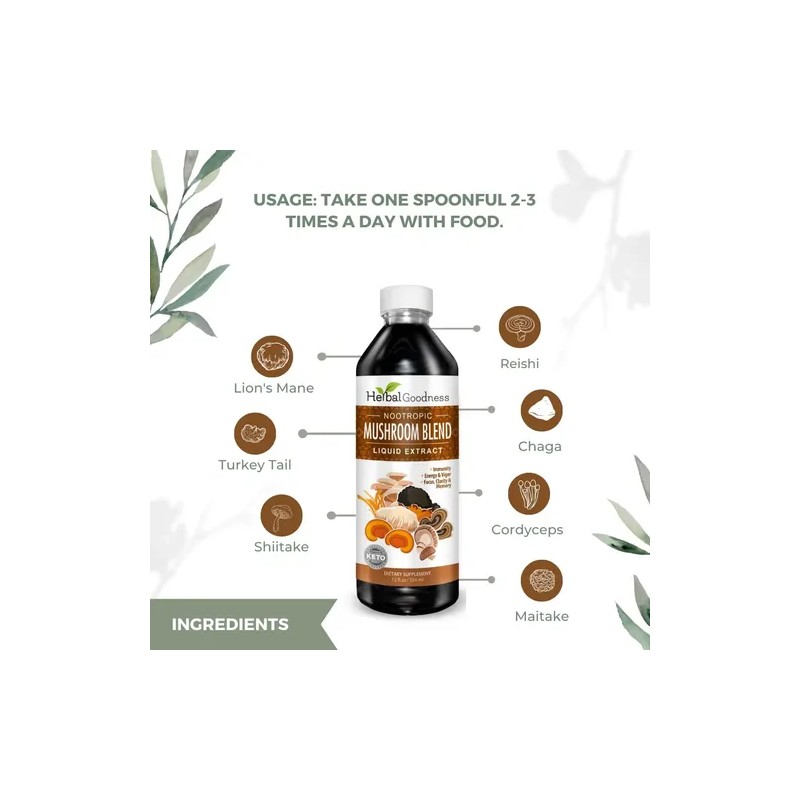 Hongos Nootrópicos Melena De León - Herbal Goodness 12oz