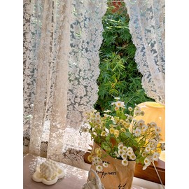 JESSANS 2pcs French Curtains Lace Gauze for Living Room Cream Retro Wavy Edge Bedroom Bay Window Girl Embroidery Curtain Door White Tulle Rod Pocket (W51XH90.5IN)