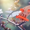 Professional Steel Garden Pruning Shears Plant Tree Trimming Scissors Gardening