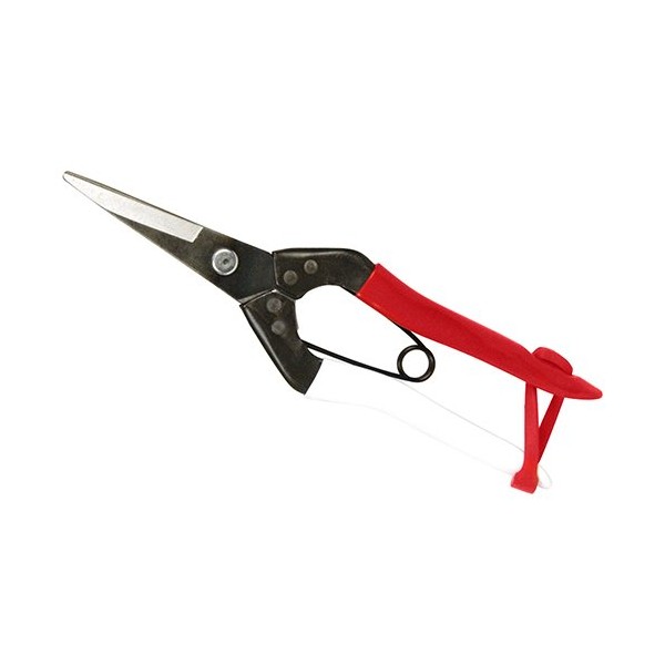 Stainless steel Grape Scissors B-500S