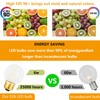 HOMOSUM Dimmable G16.5 Frosted Edison Bulb,6W E26 LED Bulb Equivalent