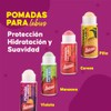 Jaloma Pomada Labial Varios Sabores Vitrolero, 60 Piezas, Pack of