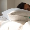 Alanzimo Goose Feathers Down Pillows Queen Size Set of 2,
