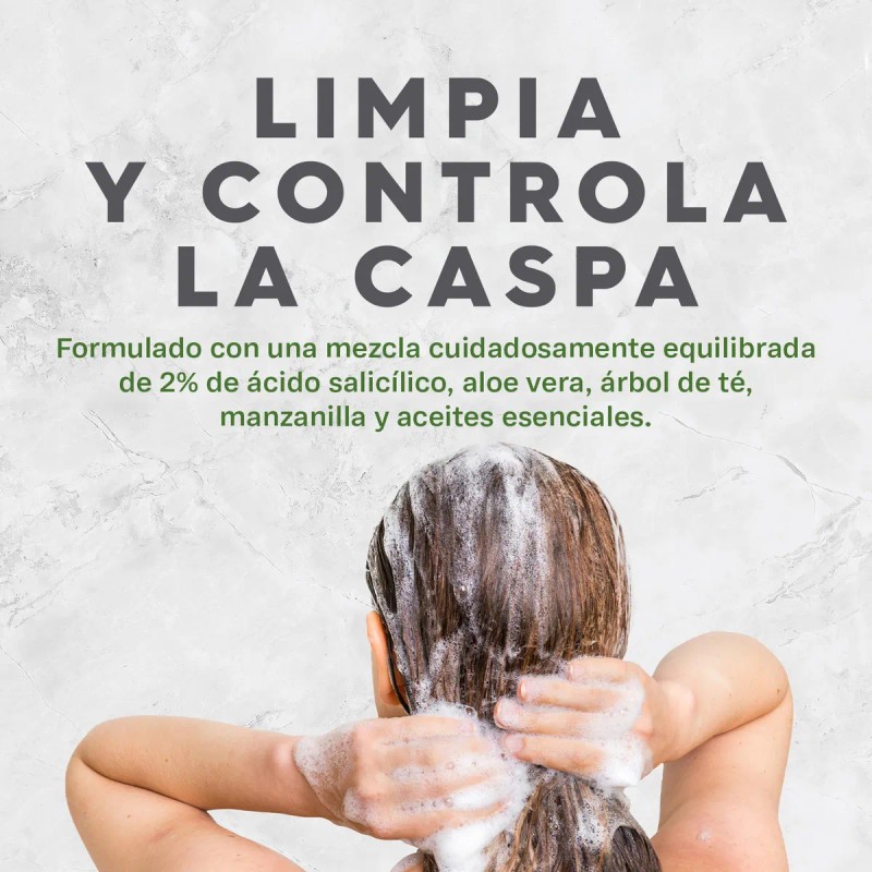 Shampoo Anticaspa 414ml Avalon Organics