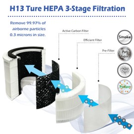 Aurora AR10F Air Purifier Replacement Filter, Compatible with Aurora AR100W, H13 True HEPA Filter with 3-in-1 Filter, 1 Pack, White