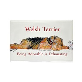 CafePress Exhausted Welsh Terrier Rectangle Magnet, 3"x2" Refrigerator Magnet