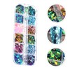 BIUDECO 12 Pack Chameleon Glitter Nail Art Shiny Nail Powder