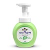 Lion Korea Ai Kkae끗해 Green Grape Handy Wash Container 250ml