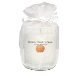 Scentsational Natural Pumpkin Soy Candle, 11 oz Glass Jar, Gift Wrapped, 50-60 Hour Burn Time