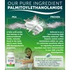 Palmitoylethanolamide 450mg Comfort Mobility Nerves Cognitive & Immune Support -