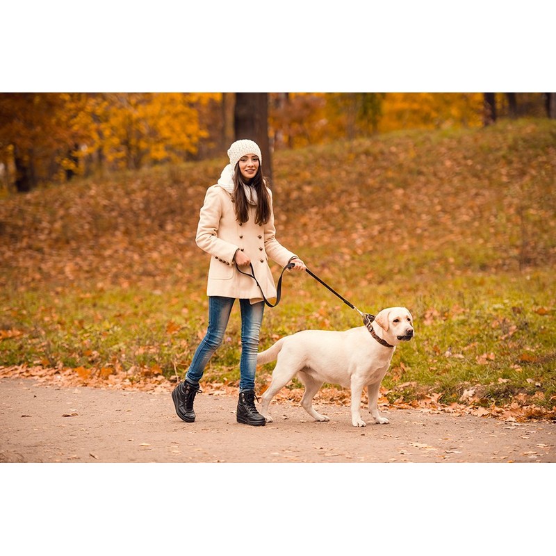 HotHands Toe Warmers - Long Lasting, Odorless, Air Activated -