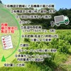 Organic Kyoto Prefecture Mulberry Leaf Tea 0.1 oz (3 g)