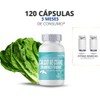 Calcio de Coral con Vitaminas C, D3 y E |