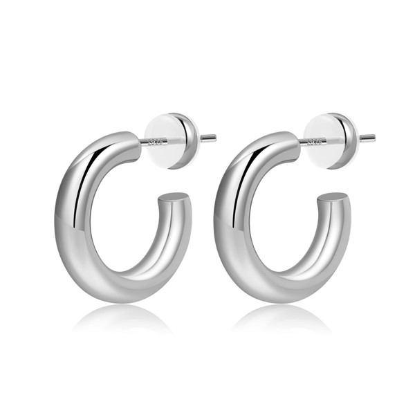 Lightweight 14K Gold Thick Hoops Earrings for Women, Small Large