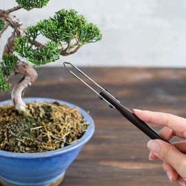 Wazakura Bonsai Triangle Shaped Double Edge Jin Knife 8.2 inches (210 mm) Made in Japan, Deadwood Carving Tool, Japanese Bark Scraper - Triangle Shape