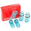 Godspeed LS-TS-FD-0005 Traction-S Performance Lowering Springs For Ford Focus ST